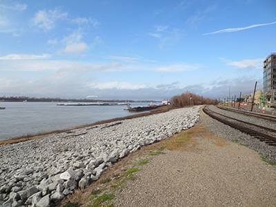 Looking North